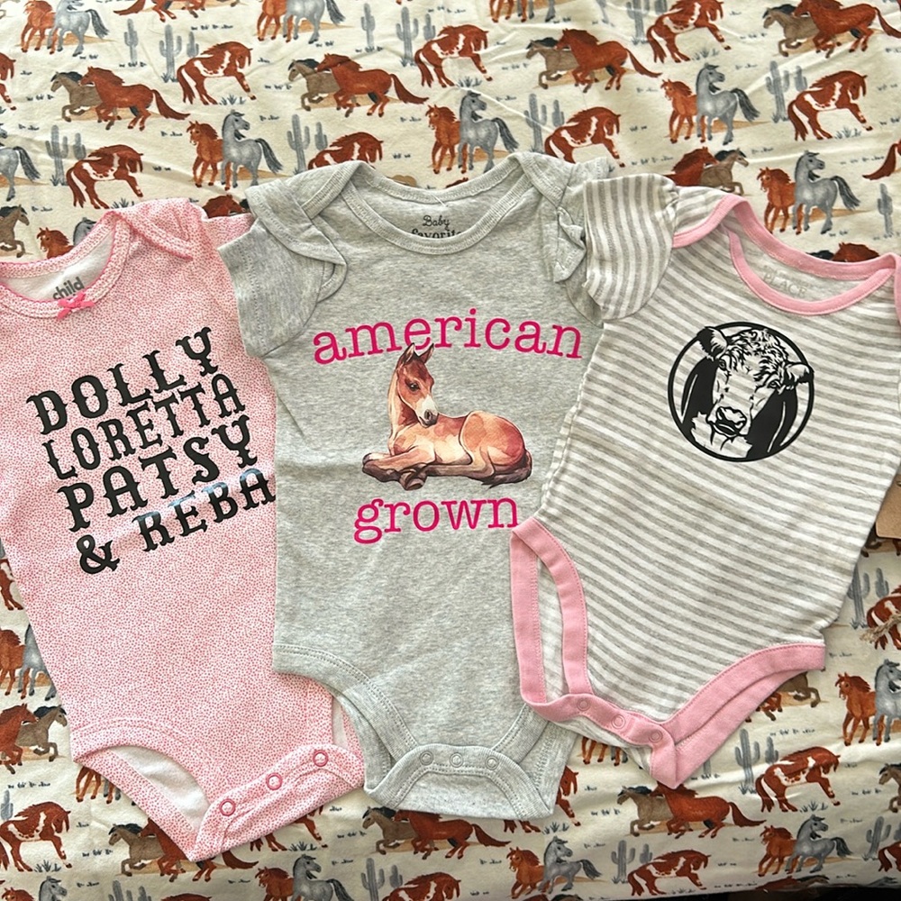 Baby Girl Onesie Lot